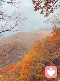 這個世界，每個人，都有自己的了不起，你的優秀，不需要任何人來證明，對別人生氣1分鐘，就失去了自己人生中60秒的快樂，所以，我們要學會欣賞自己，學著沒心沒肺，對什么事都漸漸的無所謂。配圖