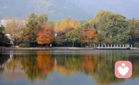 感恩是一座連接無(wú)限祝福的橋梁，
在安靜的時(shí)刻，體驗(yàn)一下圍繞著你周?chē)母蛔悖?當(dāng)你欣賞和感激時(shí)，你就打開(kāi)了大門(mén)，
讓更大的祝福流入你的生活！配圖