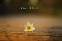 许多想不通的事，过了一段时间，你已经想不起来了。配图