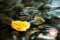 我们一直都在推迟我们知道最终无法逃避的事情