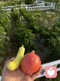 沒(méi)有銷聲匿跡，我在熱愛(ài)生活??配圖