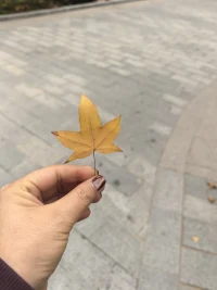 別怕，請允許一切發(fā)生！配圖