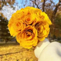 “世上每個人花期不同，你也會和美好相逢。”配圖