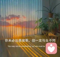 悲觀是遠見，樂觀是智慧??配圖
