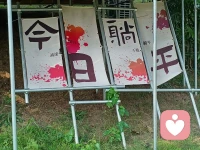 ??指尖中的虛谷，讓我的感官得到徹底的恢復
?對我而言，只要需要能量時，我都會來到大自然，做簡短的自我練習進行放松。
??當我抬頭望向天空，我的目光會專注在藍天的某一朵白云，持續地專注······跟隨云朵緩緩地流淌，重復移動的節奏，它的顏色、形狀、光、陰影面、視覺的感觀細節展開······
??然后，我會發現，呼吸變得均勻緩慢，頭腦變得寬廣專注，身體放松了······
??有時散步經過一片樹林，聽著風吹著樹葉沙沙作響的聲音，陽光透過樹葉，斑駁的光影交錯，微風吹拂著我的臉，聞到淡淡野草的味道，我感受到內在深深的平靜和喜悅······
??聽覺、視覺、觸覺、嗅覺、感覺，所有的感官細節展開······
??當我帶著這種純粹的“存在狀態”回到日常生活中，帶入到行動中，我會感覺到更加多的清晰、當下與享受。配圖