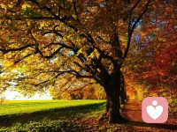 童年的?創傷
它不會自動?復原
甚至會破壞性地影響一生。

一個人畢其一生的努力
就是在整合
他自童年時代起就已形成的性格

童年得到的愛，是長大后的光。
如果你覺得童年的愛不夠，
那就學著自己成長治愈。

學點心理學了解自己的潛意識，
擺脫束縛，治愈創傷，
你受?過傷，但你不必繼續痛
孩子不必再傳承[愛心][擁抱]
?催眠
福][禮物]見天地容易
見眾生也不難
唯見自己不容易
人生最大的幸運
就是勇敢做自己

認知思維不斷升級
放眼望去
滿眼皆都是愛
找回真正的自己
?世界首富的母親——梅耶說:
任何年齡都不能成為我們不學習的借口

終身學習是這個時代的標配?。?！父母的盲目焦慮，不僅讓自己糾結，更讓孩子痛苦，被迫“躺平”。

家長的真正遠見，是放平心態，兜好現在的底，看到未來的希望。

?當你跑的慢的時候，
聽到的都是閑言碎語，
當你跑的快的時候，
耳邊只有風聲！
生生不息，勇往直前，
只有不停奔跑，
才能看到奇跡了[拳頭][拳頭]低谷期是要你更新系統
而不是讓你恢復出廠設置配圖