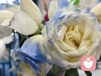 一些母親對孩子依戀需要的反應(yīng)不穩(wěn)定：

有時候能滿足孩子的需要，有時候則不能。

這樣的孩子不能建立起一個穩(wěn)定的安全感，他一方面使出渾身解數(shù)，努力地用哭鬧吸引母親的注意，從而使自己的依戀需要得到滿足，另一方面又為自己受到冷遇而感到憤怒。配圖