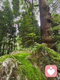 英國心理學家羅伯特·戴博德，曾將人生比作一條河流，看似靜靜流淌，風平浪靜，實則暗流涌動，危險重重。
羅伯特用無數臨床案例，拼湊起了一位“蛤蟆先生”，并講述了他從抑郁到痊愈的過程。
看完《蛤蟆先生去看心理醫生》這本書，就會明白：
在人生的長河里，沒有誰會是你的擺渡人。
能將你擺渡過岸的，只能是你自己。配圖