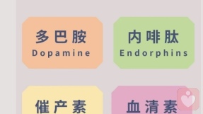 证书