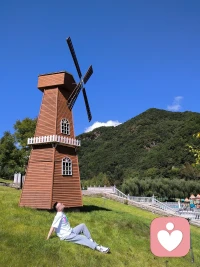 旅游歸來配圖