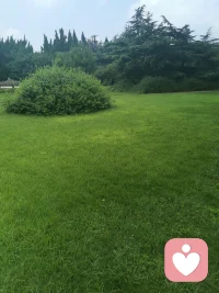 不要因為別人的挑剔指責，就立刻陷入自我否定
不要在他人的評價里找尋自己的價值配圖