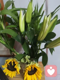 活好當下才能編織美好的未來??配圖