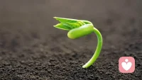 說說能量！

有的人渾身散發著喜悅與愛的能量，就像綻放中的美麗花朵，給每一個接近他的人帶來愉悅的感受；有的人渾身充斥著冷酷、自私與懷疑的能量，這種能量可能會嚇退本想親近他的人及財富等等好的東西。

能量雖然有多種不同的類型，但對于人的能量場來說，我們可以將能量劃分為兩大類別：負能量和正能量。

使我們消極、低落、自卑、沮喪、喪失斗志，找不到生活樂趣和目標的，就是極其糟糕的負能量，一個人生命的振動形式越是以負能量的狀態存在，他的生活可能變得糟糕。而使我們充滿熱情與信心，讓我們永遠樂觀、積極、陽光、自信，使我們能展現出無窮魅力的就是美好的正能量。

如果我們能有意識地讓自己持續處在正面的能量場中，那么成功與幸福將是唾手可能。為什么不同的能量，會使我們的生命出現完全不同的結果？

這是因為能量具有吸引性和傳染性兩大特性。所謂吸引性就是說，相同振動頻率的能量會互相吸引，引起共振。所以負能量往往會吸引壞事，而正能量才會吸引好事。“屋漏偏逢連陰雨”“錦上添花”“好事成雙”等說的都是能量的吸引性和共振性。此外，能量還具有傳染的特性，長時間跟某種能量的人一起，可能會感染他的能量?！敖煺叱?，近墨者黑”說的都是能量的傳染性。

那么，我們如何才能讓自己時時刻刻都擁有強大的正能量呢？這需要方法、需要智慧，更需要不斷地練習。

列舉幾個聚集能量的法則
1：鎖定好你的焦點，
2：對于負能量不要抵制，只能轉化，
3：管理好語言、視聽與生活環境，
4：分享帶來更多美好能量，
5：愛與感恩創造世間最大的正能量。配圖