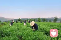 一個人成熟的標志就是要明白一個道理：求人不如求己，即使有助你的人，也常是＂助人自助＂。

　　我們需要做的不能唯一期望遇到一個好人，工作，城市等等，給自己幸福，主要是把自己變成一個“幸福”的人。幸福主要取決于思想觀念、認知、能力、習慣等等。

　　內心幸福的人，無論走到哪里，都是會有淡然的幸福的。內心不快樂的人，無論走到哪里，無論和誰在一起，都不一定會有真正的快樂。

　　請記住，世界上最重要的能力，叫做“自我幸福力＂。配圖