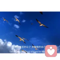 那些較為成功的人士，很早就確定了自己的職業方向，并且為之付出了不懈的努力；
而碌碌無為的人，總是半途而廢，頻繁地更換行業。


優秀的人，只不過是比常人多了一點堅持。
著名漫畫家蔡志忠，15歲開始畫畫。
最苦的時候，住在一個幾平米的小房間里，每個月要賣四百多幅畫作，才能勉強維持生計。
物質上的貧苦，精神上的煎熬，都沒能讓他放棄畫畫。
他投身于自己喜愛的事業里，一刻不敢懈怠，每日苦練，每日精進。
后來，蔡志忠終于得到世人認可，成為漫畫大師。
古人云：“日日行，不怕千萬里；常常做，不怕千萬事。”
成功并非一蹴而就，而源于苦熬和積累。
只要你踏踏實實，一步一個腳印，哪怕走得再慢，也能抵達夢想的終點。配圖