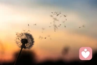 信念可以成就自己，也可以限制住自己，信念是潛移默化的心靈力量。
每時每刻在人生中發揮影響，發現并解除限制性的信念，是踏上自由之路的第一步。配圖