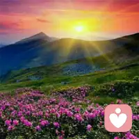 一個人的信念系統中有很多信念其實是由某一特定經驗產生的，這個信念也許適用于曾經某個情境，但在另一個情境中就不適用了。
可是如果這個人的信念還沒隨之改變，就會給他的生活帶來很多困擾。這樣的信念，我們稱為『限制性信念』。配圖