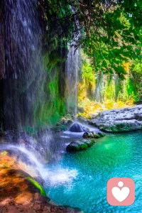 我們的問題并不是多來自于外面，而是多來自于我們自己——我們并不了解我們自己。我們每天日用，卻從來沒有停下來去認(rèn)識下自己。我們總想成為別人，可是卻從來不知道自己的本來。就像打仗一樣，你如果連自己有多少實(shí)力都不知道的話，那你怎么可能贏得戰(zhàn)爭呢？而我們很多人就是這樣，對于自己知知很少，卻一味苛求自己！

那最后的結(jié)果是什么呢？就只有事與愿違，就只有內(nèi)心不斷沖突，自己跟自己較勁了。當(dāng)內(nèi)心沖突不斷升級，最后就會演變成癥狀表現(xiàn)出來。

所以，心理咨詢的目標(biāo)不是讓你成為你理想中的自己，而是讓你認(rèn)識到你的本來。那個既不偉大，也不平凡的本來;那個既不完美，也不殘缺的本來。就像一朵花一樣，它只是存在，它只是盛開。

存在就是存在，而對于存在的好壞美丑、高矮胖瘦的評判，都是我們主觀加上去的。所以《道德經(jīng)》里說：“知美之為美，斯不善已。”配圖