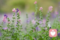 婚姻路上，我們會(huì)犯錯(cuò)，可能是因?yàn)槲覀兊呐袛嗖粶?zhǔn)確，也可能是因?yàn)槲覀兂墒觳粔?，或是我們選擇的時(shí)機(jī)不對。
但這些“錯(cuò)”并非絕對意義上的錯(cuò)誤，而是一種經(jīng)驗(yàn)的積累，一種人生智慧的成熟。長久的婚姻就像一場旅程，途中可能會(huì)有不同的路口、岔路口，我們可能會(huì)在某個(gè)路口選擇了錯(cuò)誤的方向，但這并不妨礙我們繼續(xù)前行。
我們可以在錯(cuò)誤中發(fā)現(xiàn)正確，可以在矛盾中獲得成長。
或許我們開始選擇了錯(cuò)誤的伴侶，但在共同的經(jīng)歷和努力下，也許我們能找到彼此最適合的相處方式，最終實(shí)現(xiàn)幸福的婚姻。配圖