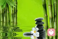 有時候″問題不是思慮太多，而是你不敢不思慮太多！″這就像手掌一樣。你可以把你的手掌打開，你也可以把你的手掌合上，這個叫正常。但是如果你只能把你的手打開，不能把它合上，那你這個手是不是就有問題？


多思慮從來不是問題，是你不敢不去思慮多才是問題。生活中，忙的時候，我也會思慮多。但是事情過了之后，我可以放下那個思慮，只是享受當下。所以，你應該要考慮的問題是，你為什么不敢把這個思慮放下？”


在精神分析里面有一個名詞，叫“防御機制”。就是為了保持心理平衡所采取的一系列自我保護手段。但是這個防御本身并不是問題。在自然界，任何人，甚至是任何生物都需要有防御機制。就比如單細胞生物，它也有自己的細胞壁作為跟外界的隔離，保護自己。它也會有最簡單的趨利避害。總之，防御可以幫助它更好活在這個世界上。那我們人就更加了，我們所使用的防御機制就更加復雜和精妙了。甚至于，我們的幽默也是一種防御。


但是，同樣是防御，在面對不同事情的時候，有的防御機制是適用的，而有的卻不適用。同樣是一個人，有的防御機制在小的時候是適用的，但是在長大了的時候就不適用了。所以精神分析用一個人所使用的防御機制來區分這個人的內心成熟程度。配圖