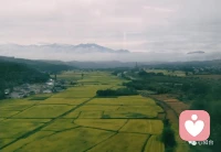 在現實生活中，有的人把自己的幸福和快樂寄托在他人身上，期待著他人能夠為自己撐傘，為自己解決問題。然而，這種做法往往會讓他們感到失望和痛苦，因為他們無法掌控他人的想法和行為。而當他們失去那個為他們撐傘的人時，他們更是感到絕望和無助。配圖