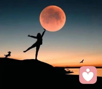 創(chuàng)造力在愛和喜悅的寧靜中綻放，在恐懼和功利的浮躁中枯萎。去做讓你充滿喜悅正能的事吧，它們會滋養(yǎng)你的生命。配圖