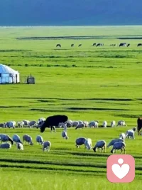 說說嫉妒

嫉妒是人類情緒中很激烈也很痛苦的一種，是感受加認知的產物，也是很難控制的。?有些女性因為感情上可能遭到的背叛而產生嫉妒之情，有些男性的嫉妒則往往來自對自己性能力的質疑。?
嫉妒混合了恐懼、壓力和憤怒，它會激發人體的“緊急應急機制”。
?所以，當一個人妒火攻心的時候，血壓、脈搏、腎上腺素和免疫系統都會受到威脅。配圖