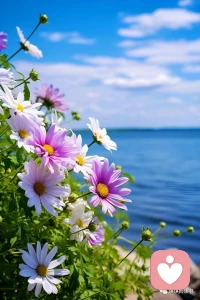 說(shuō)說(shuō)愛(ài)

真正的愛(ài)是內(nèi)在創(chuàng)造力的表現(xiàn)，包括關(guān)懷、尊重、責(zé)任心和了解諸多因素。愛(ài)不是一種消極的沖動(dòng)情緒，而是積極追求被愛(ài)人的發(fā)展和幸福，這種追求的基礎(chǔ)是人的愛(ài)的能力。誰(shuí)才是你的命中貴人！跟共生有機(jī)體結(jié)合相對(duì)立的是成熟的愛(ài)情，那就是在保留自己完整性和獨(dú)立性的條件下，也就是保持自己個(gè)性的條件下與他人合二為一。
人的愛(ài)情是一種積極的力量，這種力量可以沖破人與人之間的高墻并使人與人結(jié)合。愛(ài)情可以使人克服孤寂和與世隔絕感，但同時(shí)又使人保持對(duì)自己的忠誠(chéng)，保持自己的完整性和本來(lái)的面貌。
在愛(ài)情中出現(xiàn)了兩個(gè)生命合為一體，卻依然保持兩體的怪現(xiàn)象。人們只有認(rèn)識(shí)對(duì)方，了解對(duì)方，才能尊重對(duì)方。如果不以了解為基礎(chǔ)，關(guān)心和責(zé)任心都會(huì)是盲目的，而如果不是從關(guān)懷的角度出發(fā)去了解對(duì)方，這種了解也是無(wú)益的。了解的方式多種多樣。
成為愛(ài)情一要素的了解是要深入事物的內(nèi)部，而不是滿(mǎn)足于一知半解。我只有用他人的眼光看待他人，而把對(duì)自己的興趣退居二位，我才能了解對(duì)方。
通過(guò)愛(ài)，他就從他的由自戀引起的孤獨(dú)中解脫出來(lái)，他開(kāi)始體驗(yàn)關(guān)心他人以及同他人的統(tǒng)一，另外他還能感覺(jué)到愛(ài)喚起愛(ài)的力量。他不再依賴(lài)于接受愛(ài)以及為了贏得愛(ài)必須使自己弱小、孤立無(wú)援、生病或者聽(tīng)話。天真的、孩童式的愛(ài)情遵循下列原則：我愛(ài)，因?yàn)槲冶蝗藧?ài)。
成熟的愛(ài)的原則是：我被人愛(ài)，因?yàn)槲覑?ài)人。不成熟的、幼稚的愛(ài)是：我愛(ài)你，因?yàn)槲倚枰恪６墒斓膼?ài)是：我需要你，因?yàn)槲覑?ài)你。配圖