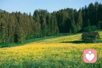 停止內(nèi)耗

自我禁錮，只能靠自己掙脫束縛；活著很累是沒有處理好與自己的關(guān)系。

找到完整的自己。你要找到你擅長的領(lǐng)域，你要勇敢地承擔(dān)起責(zé)任，你只是你，你不特殊，卻是獨(dú)一無二的特別的你，無可替代的你。你可以不再無聊，你的生活也不會無趣，突破身上的桎梏，你會
找到一個完整的自己，當(dāng)然，你也會更愛自己。

自我內(nèi)耗。你是不是聽了很多道理，但是依舊沒有學(xué)會拒絕？你要知道，你不是個萬能的工具箱，你并不能解決所有的問題。你的心里，是不是始終都住著一個哭泣的小孩，你又應(yīng)該怎么照顧他呢？你要學(xué)會全面且正確的認(rèn)識自己。成年人，你要為自己的委屈和淚水負(fù)責(zé)。

告別完美。主義完美，沒有定義；完美，不應(yīng)該成為你的手銬，也不應(yīng)該讓你忘記你本該擁有的一切。追求完美，本身就是對生命的“傲慢”。很多時候，大多數(shù)的焦慮和苦惱是因?yàn)椤案谩边@兩個字。當(dāng)你承認(rèn)自己不完美以后，整個世界都會好很多；不完美，是完美主義者的終極解藥。

情緒自由。壞情緒會吞噬本就不多的幸福！孤獨(dú)，懊惱，壓力太大，不知道如何處理情緒！你該讓你的情緒自由一點(diǎn)，也不應(yīng)該壓抑著自己的情緒，如何正確處理壓力，又該如何讓情緒為我們助力，也許你會找到一個你想要的答案。配圖