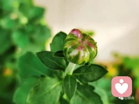 能控制自己情緒的人，就能很好地控制自己的現在與未來。
情緒的管理，在我們的人生中起著至關重要的作用。如果我們能夠駕馭自己的情緒，那么我們就能把握自己的命運…情緒，是我們對外界刺激的一種反應，無論是積極的還是消極的，它們都代表了我們的內心感受…然而，這些情緒并不是我們的主人，我們不能被它們牽著鼻子走…只有成為情緒的主人，我們才能真正地掌握自己的命運。配圖