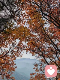 個(gè)體的追求和社會(huì)感

個(gè)體行為受目標(biāo)和社會(huì)因素的共同影響。個(gè)體行為不僅受內(nèi)部目標(biāo)的驅(qū)動(dòng)，還受社會(huì)因素的影響。

人們的行為是為了追求某種目標(biāo)，如成功、認(rèn)可或滿足感，同時(shí)也是為了滿足社會(huì)需求，如與他人建立關(guān)系、獲得認(rèn)可或融入社會(huì)。這種平衡是人類行為的關(guān)鍵因素。

以一位職場(chǎng)成功者為例，他追求事業(yè)成功（個(gè)體目標(biāo)），同時(shí)也重視建立合作關(guān)系和獲得同事的尊重（社會(huì)因素）。這種平衡有助于他在職場(chǎng)中取得成就。配圖