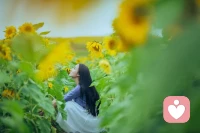 既要腳踏實地于現實生活，又要不時跳出現實到理想的高臺上張望一眼。在精神世界里建立起一套豐滿的體系，引領我們不迷失不懈怠。待我們一覺醒來，回歸到現實中的時候，可以淡泊、寧靜、勇敢地承擔起生活的責任。
把學習、工作、愛看做生命的必要，心平氣靜地繼續好好耕耘、但行好事。配圖