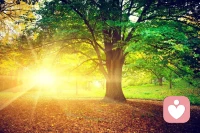 智慧

解“智”

“ 智”字由“知”和“日”組成，意識是一個的知識隨著日積月累，就會越來越多，但是知多不一定有慧。

這個社會上，到處都是這樣的人，看的學的多了，不能將知化掉，結果知道的越多，知見障就越多，于是生出眾多煩惱。

解“慧” 

“慧”字上面有兩個“豐”，中間一個“彐”，下面一個“心”字 兩個豐，代表收獲了非常多，中間這個“彐”字讀xue、是“雪”字的簡寫，心五行屬火，雪在火上自然融化。

慧字的意思就是把自己學習到的知識，用心把他們像雪一眼融化掉，看不見，你就有慧了！ 

如何化呢？ 

用“心”

如何用心呢？心五行屬火，主動行動，把我們學習到了知識，必須認真去實踐，通過實踐檢驗，然后用心去感悟出自己的道，從而可以舉一反三變化出更多的方法。配圖