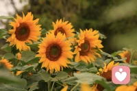 成長就是把你的思維放大，把你的視野擴(kuò)展，讓你變得更加開放、包容和理解。配圖