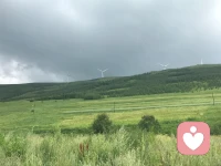 如何没有烦恼的生活，扫除负面情绪，欢喜自在地生活？我们首先要了解烦恼是如何产生的。人的一生中，不会总是幸福。人生所有的不幸福，不过“苦厄”二字。“苦”是苦痛，“厄”是困难。


产生痛苦的关键，就是执着或认知局限。身心之苦是由于将自己看成实体而造成的，生命因为对“有”的认识不足，因而总是在“有所得”的心态下生活，人生的一切似乎都能令我们生起执着。在日常生活中，我们会执着财富、执着地位、执着情感、执着信仰、执着生存的环境、执着拥有的知识……由于执着，我们对人生的一切都产生了强烈占有、恋恋不舍的心态，同时也给人生带来了种种烦恼。

如果我们看破了世间的是非、得失、荣辱，无牵无挂，破除了执着，自然也就不会再有苦恼。配图