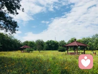 成功的背后，是无数次的失败和坚持不懈的努力，它们共同促使个人不断成长，继而又促更高阶的成功。配图