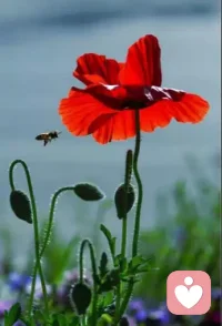 對于一些存在輕度抑郁癥的人群來說，在平時不僅自信心相對較低，而且也是經常會喜歡將錯誤攔在在自己身上，認為都是自己做的不好，所以才連累了大家。這樣也會導致自信心變差，從而導致心理負擔變重，加重抑郁的問題，所以在平時，也要注重適當的調節。配圖