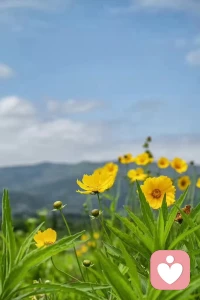 有人抱怨说，为什么我遇不到好人和好的环境，其实，抱怨的同时，应该思考一下，是不是因为自己做得不够好？
古人说：君子务本，本立而道生。人，要从根本上提升自己。不要去追一匹马，用追马的时间种草，待到春暖花开时，就会有一批骏马任你挑选。不要去刻意巴结一个人，用暂时没有朋友的时间，去提升自己的德行，待到时机成熟时，就会有很多朋友与你同行。用人情做出来的朋友只是暂时的，用厚德吸引来的朋友才是长久的。
因此，丰富自己比取悦他人更有力量。做个温暖的人，用加法的方式去爱人，用减法的方式去怨恨，用乘法的方式去感恩，用除法的方式去烦恼，会发现全世界都在向你微笑！ 眼是一把尺，看人先看己；心是一杆秤，称人也称己。
心中有德，是慈悲；口中有德，是善良。一个人的涵养来自大度，来自宽容；一个人的修为，是懂得包容，懂得尊重。人生是如此短暂，对身边的每个人都要好一点，因为下辈子不一定能遇见。
目中有人，才会有路可走；心中有爱，方能有所作为。我们每日所做的的善行，终有一天会全部回到我们身边，只是时间早晚的问题。配图