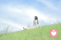 人生有两件事很关键，千万别:
1、没有目标，
2、没有自我，
总喜欢相信别人的判断和选择，求人不如求己，靠谁不如靠己，与其放下脸面，讨好别人，不如努力改变提升、活好自己，当你成功了，就无惧风雨；
当你强大了，就佳境多多！生命力的意义在于拼搏，因为世界本身就是一个竞技场，就是无数次被礁石击碎，又无数次扑向礁石，唯有如此，生命的绿荫才可能越长越茂盛！配图