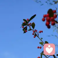 作为家人和朋友，我们该如何通过自己的言行，帮助和安慰抑郁症患者，和他们和谐友好地相处？

1.多理解
让抑郁症患者获得尊重和正在尝试被理解的感觉很重要。他们的很多痛苦不为人知，也很难一次性表达清楚，因此要不断地尝试多理解他们。

2.多倾听
倾听对抑郁症患者最重要。倾听过后，我们最好不加评价、不加分析、不加指责。

3.多关心
抑郁症患者通常很脆弱，需要被关心和爱护。

4.多配合
有的患者想单独待会儿，我们就要在约定安全后给予一些空间和自由。有的患者容易哭泣和发泄，我们就要给予陪伴，允许他在不伤害自己的限度内发泄。

5.不盲目建议、鼓励和督促
抑郁症患者处于疾病的状态下，承受力和对外界的敏感度异于日常状态，各类微小的事情都会带给他们压力和崩溃感。

没有专业的患者病情评估和医师指导，不应强行带患者运动、聚会、旅行、读书及尝试各类网上查阅到的治疗方法和调整方式。

6.不指责
抑郁症患者最害怕被贴上不努力、不负责、不认真、不坚持等标签。不要说“这算个什么事儿”“人家的处境比你还难，也没有抑郁”。

7.不询问原因
不要直接问“为什么你抑郁”“为什么大家都有压力，就你生病”。抑郁症是一种病因复杂的疾病，我们无法选择自己是否要患病。

8.不战战兢兢地对待
尽力去做，带着爱去看护抑郁症患者就是最好的应对办法，不用背负太多心理负担，不要过于责备自己没有照顾好他们。

9.找专业医生做依靠
专业的精神心理科医生会根据患者的疾病状态，判断患者是否需要药物干预、目前最该做的和最不该做的事情等，并给出相关治疗方案。配图