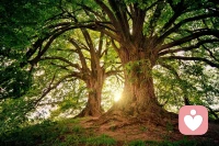 有人说：结婚前，要多看对方的缺点，避免情人眼里出西施。结婚后，要多看对方的优点，求同存异，以情理促变，多多整合，这样才容易保持夫妻和睦。配图