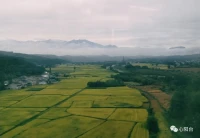 心理學認為，人們在成長過程中常常會殘留一些幼稚的防御機制，如強烈的愛在很多時候要通過恨來、攻擊、控制去反向表達，而內心的憤怒也需要掩藏在愛的外衣下被安全的釋放出來。于是有的人就有了一種奇怪的悖論情景——“我折磨你是因為我愛你”你的所作所為，正是出于這樣的一種反向心理。需要指出的是，這樣的行為帶著明顯的矛盾信息，接受他的同時又在排斥他，抓緊他和推開他的力量并存。配圖