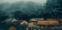 嫉妒是一種否定，否定你自己。嫉妒，你們這樣表達的：當一個人在別人身上看到某種東西時，他相信：「我沒有那個，我想要那個。」 但是要認識到，如果你有能力在別人身上看到一些東西，你一定也是包含它的，因為你只能感知到你所包含的東西。
所以嫉妒只是你相信在別人身上看到的東西是你沒有的的結果。當你認識到，你在別人身上所看到的東西，你希望對你來說也是真的，你也可以擁有，「你能在別人身上看到了它」的這個特別的能力說明你有能力成為那樣的自己，所以沒有必要嫉妒。
因為你會說：「我在那個人身上看到了我想要的東西，哦，快樂的一天，現在我知道了我能在那個人身上看到它，這意味著我有能力顯化它，同樣容易地顯化它。」當你認可你自己，當你無條件地愛自己，無條件地愛所有人，而且認識到你是一個完整的人時，你就沒有必要嫉妒了。你不是不完整的。

你可能認為你是不完整的，你可能認為你在別人身上看到了一些你沒有的東西; 但這只是一個視角，只是一個觀點。你有機會認識到，當你在別人身上看到你渴望的東西時，你就能意識到你有潛力成為那樣的人。同樣，當你在別人身上看到一些你不想要的東西時，它仍然意味著你包含同等的潛力去成為那個你不想的人，所以如果你不喜歡的話，你就沒有必要這么做。
簡單地認識到每個人都是一種反射。當你看著別人的時候，你只不過是在看著鏡子。所以你看到的是??如果你看到你不喜歡的東西，僅僅認識到那可能性存在于你之內，因為每個人都含有每一種可能性的現實和表達方式，但是如果你在別人身上看到你所不喜歡的東西，那么這也是理所當然的，你也包含著你所不喜歡的。配圖