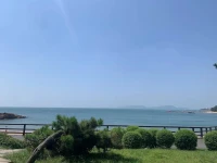 情緒在身體里產(chǎn)生，也在身體里累積。
身體和情緒就像大樹的樹干和樹枝，是一體的。身體是樹干，情緒是樹枝，樹干影響樹枝生長，樹枝決定樹干健康。身體和情緒誰也離不開誰。
情緒在身體里產(chǎn)生，被身體第一個感受到，引起心跳加速、呼吸急促、出汗、疼痛等身體反應(yīng)。有人經(jīng)常有這些身體反應(yīng)，以為身體出現(xiàn)了問題，一遍遍跑醫(yī)院做各種檢查，結(jié)果身體沒有問題。
很多時候，身體不舒服可能是因為有情緒。
情緒在身體里產(chǎn)生，也在身體里累積。不被覺察和理解情緒張力，會一直留在身體里，不會消除和散去。情緒長時間堆積在身體里，會引起身體問題、身體癥狀，甚至身體疾病。
頭腦和意識有選擇性地進行記憶，而身體和潛意識卻將真實的、屬于自己的保留下來。身體記住的，是脆弱的，柔軟的，私密的，真實的，最需要被我們好好呵護、認(rèn)真對待的。
真正愛自己的表現(xiàn)，也許就是能夠溫柔地對待自己的情緒，珍惜地對待自己的身體。配圖