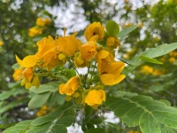 ?在繁華的都市里，燈火闌珊處，人們匆匆而過，每個人都在尋找屬于自己的幸福。但在這個看似充滿浪漫與美好的世界里，婚姻卻常常陷入利益的糾葛與情感的困境。正如那句名言所說：“婚姻就是這樣，想過日子的女人，有的嫁給了掙不了錢的男人；想過日子的男人，有的偏偏娶了一個敗家的女人；做一手好飯菜的女人，有的等不到回家吃飯的男人；經(jīng)常回家吃飯的男人，有的偏偏娶了一個不會做飯的女人。”
如果把利益至上，婚姻似乎也變得功利化。曾經(jīng)的愛情與浪漫在生活的壓力下逐漸消失，取而代之的是對物質(zhì)的追求和對利益的博弈。當兩個人決定走入婚姻的殿堂時，他們或許是因為相愛而結(jié)合，但更多的時候，他們是為了更好的生活而結(jié)成一個利益共同體。在這個共同體中，男女雙方各取所需，共同為生活的穩(wěn)定與繁榮付出努力。女人期望有一個溫馨的家，一個知冷知熱的伴侶；男人則希望有一個賢良淑德的內(nèi)助，一個能在事業(yè)上互相支持的伙伴。但現(xiàn)實往往并不如人意。

婚姻更像是一面鏡子，反映出每個人的內(nèi)心深處。當兩個人走入婚姻的殿堂時，他們不僅僅是在尋找一個伴侶，更是在尋找一個能共同面對生活風(fēng)雨的伙伴。在這個過程中，他們需要彼此理解、支持、包容和付出。只有這樣，他們才能在生活的舞臺上翩翩起舞，共同譜寫一段美好的人生篇章。


在面對婚姻的選擇時，我們應(yīng)該用一顆真誠的心去對待自己和對方。我們需要認真思考自己的需求和對方的期望，然后做出最明智的決定。只有這樣，我們才能在未來的日子里共同面對生活中的風(fēng)風(fēng)雨雨，攜手走過人生的每一個階段。
在這個看似功利化的時代里，我們應(yīng)該珍惜身邊的每一個人。讓我們用心去感受彼此的關(guān)愛與溫暖，讓我們的婚姻成為我們生活中最美好的一部分。只有這樣，我們才能真正地感受到生活的美好與幸福。配圖