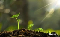 當一個人想改變自己時，就會從內心產生一種堅定的意志力，清晰地告訴自己想要什么，并且更加積極地行動。自律不僅靠滿腔熱血，還要靠持續自我激勵；從最小的變化開始，卻能讓你慢慢把握人生的方向。配圖