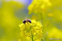 有的人說：“我身邊沒有一個真正理解我、在乎我、愛我、心疼我、支持我的人，也沒有興趣愛好相同的伙伴，連一個合適的聊天對象都沒有”。

思路之一:可以先試著去真正理解別人在想什么，多去在乎一下別人的想法，去心疼別人，支持別人，去試著探索別人的興趣愛好。接下來看看自己會不會有不一樣的感受？

有時，人過于自我為中心，總是不自覺地想著讓身邊的人為自己服務，這樣的人總是很容易感到失望。如果都想著先滿足自己，那就永遠不會有交集，也就都實現不了。

他們沒有明白，真正能夠帶給自己快樂、滿足的，只有你自己，而且通常要借由滿足他人來實現滿足自己。配圖