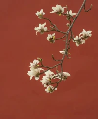 愛(ài)的時(shí)候不辜負(fù)自己的心，玩的時(shí)候不辜負(fù)路邊的風(fēng)景，睡覺(jué)的時(shí)候不辜負(fù)溫暖的床，一個(gè)人的時(shí)候不辜負(fù)自己。配圖
