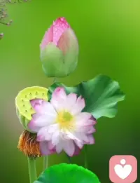 言語可以轉換潛意識中的想法到意識層面。簡單的日常對話、寫日記或與信任的朋友、家人交流感受，都是有效的言語表達方式。這些活動不僅幫助個體理解自己的情緒，也為情緒提供了一個釋放的出口，從而防止情緒積壓并化解內心沖突。配圖
