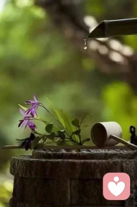 在感情的世界里，能長久的關系，其實就一個字，那就是：穩(wěn)。

穩(wěn)一點，才能經得起時間的考驗。

慢一些，才能收獲穩(wěn)穩(wěn)的幸福。

好事需多磨，欲速則不達。

愿每一份深情都不被辜負，愿相愛的人都能找到幸福的方向，讓愛如初見，溫暖而長久。配圖